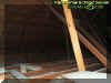 attic.jpg (20758 bytes)