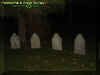 graves2.jpg (20395 bytes)
