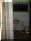 bathroom.jpg (20091 bytes)