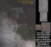 bushectoplasm.jpg (50209 bytes)