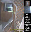 windowface.jpg (43920 bytes)
