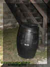 trash.jpg (33854 bytes)