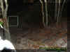stairorb.jpg (32299 bytes)