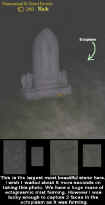 angelstatuesectoplasm.jpg (52969 bytes)