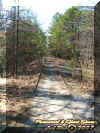 atsiontracks.jpg (65159 bytes)