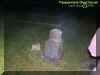 gravemist.jpg (29172 bytes)