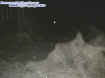 groundectoplasm.jpg (17736 bytes)