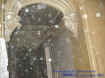 atticorbs3.jpg (31394 bytes)