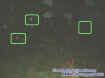 shruborbs.jpg (20571 bytes)
