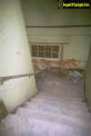 stairwelltobasement.jpg (35475 bytes)