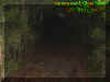 darktrail1.jpg (44706 bytes)