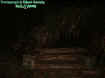 2005stairwayruins.jpg (38139 bytes)