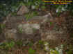 stonefireplace.jpg (61846 bytes)