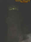 lighthouseecto.jpg (9633 bytes)