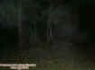 battlefieldmist.jpg (24030 bytes)