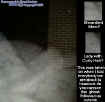sideschoolectoplasm.jpg (44766 bytes)