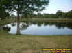 pond1.jpg (44754 bytes)
