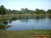 pond2.jpg (29876 bytes)