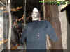 pirateecto1.jpg (36666 bytes)