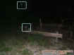 woodframeorbs.jpg (28645 bytes)