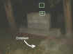 burnsecto.jpg (21481 bytes)