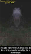 oddentity.jpg (26973 bytes)