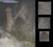 tiltedstoneapparitions.jpg (32249 bytes)