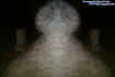 unknownmirroredentity.jpg (39730 bytes)