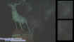 0elksrestecto.jpg (18203 bytes)