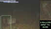 0smallentity.jpg (27708 bytes)