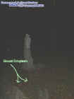 0statuesgroundectoplasm.jpg (22681 bytes)