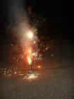 newyears2004fireworks3.jpg (30667 bytes)