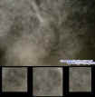 parkfaces1.jpg (29252 bytes)