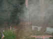 benchectoplasm.jpg (27255 bytes)