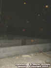 redorbs.jpg (17341 bytes)