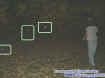 ourdoorrickorbs.jpg (27108 bytes)