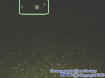 outdoororbs.jpg (14646 bytes)