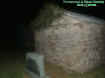 cryptstone.jpg (26170 bytes)