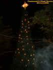 2christmastreeecto1.jpg (32871 bytes)