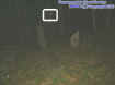 stoneorb.jpg (20479 bytes)