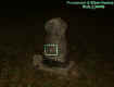 2pioneerstoneorb.jpg (30307 bytes)