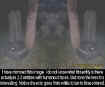 mirroredentities.jpg (61458 bytes)