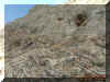 ascension10.jpg (132476 bytes)