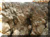 rockformationscliff.jpg (117841 bytes)