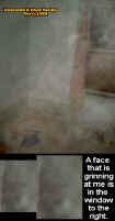 windowface.jpg (29127 bytes)