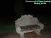 throne1.jpg (16580 bytes)