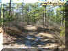 trail1.jpg (71439 bytes)