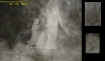 angelfacesecto.jpg (24352 bytes)