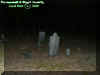 graves2.jpg (20121 bytes)