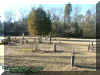 graves.jpg (56613 bytes)